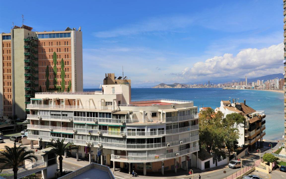 Photo of Others in Benidorm