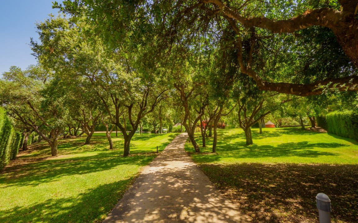 Photo of Outdoor in Coin