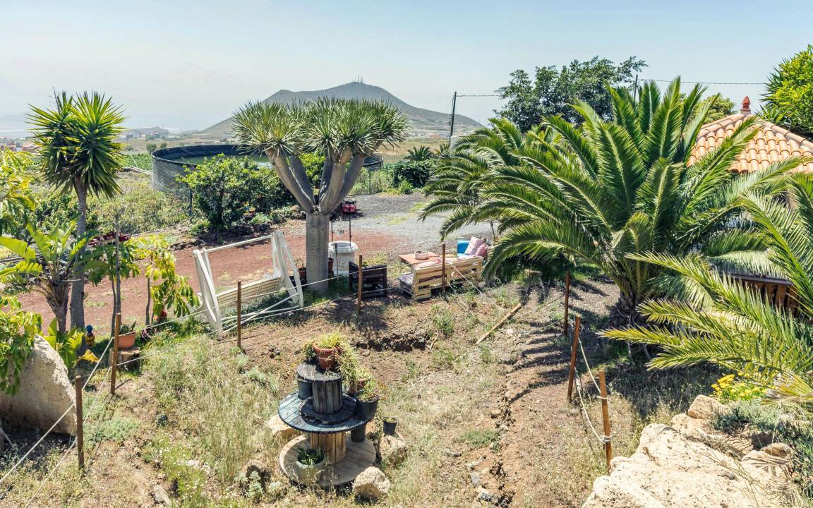 Photo of Others in Granadilla de Abona