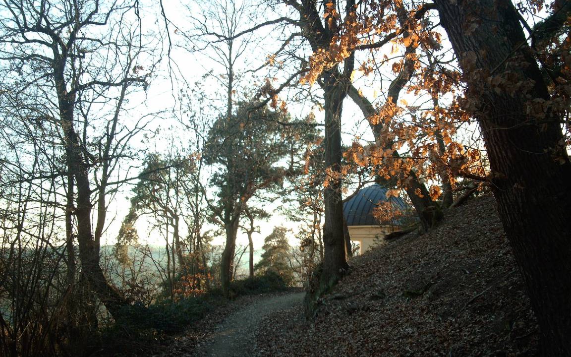Photo of Others in Hofheim am Taunus