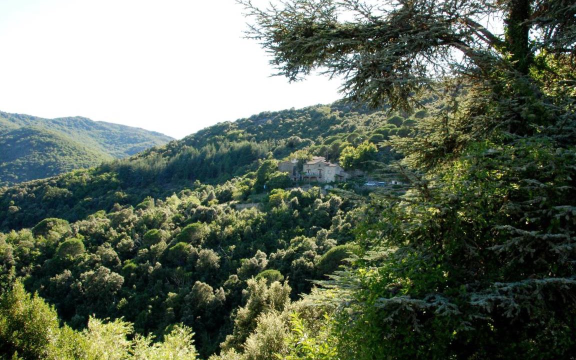 Photo of Others in Colognac