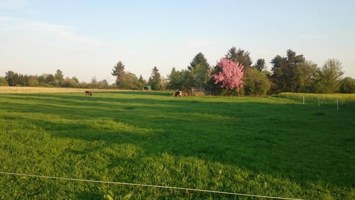 Photo of Others in Hanau