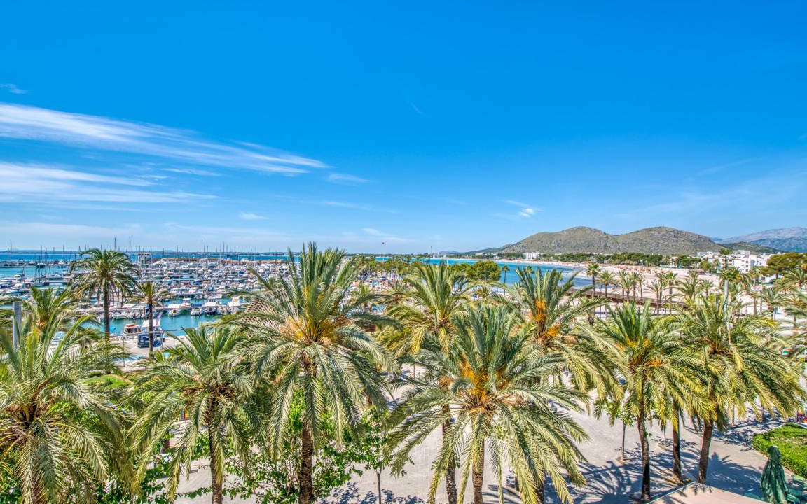 Photo of Others in Alcudia