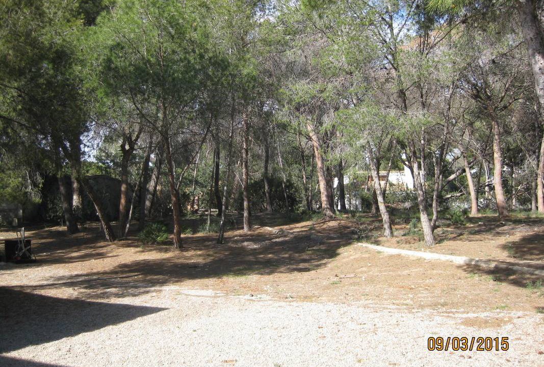 Photo of Others in Godella