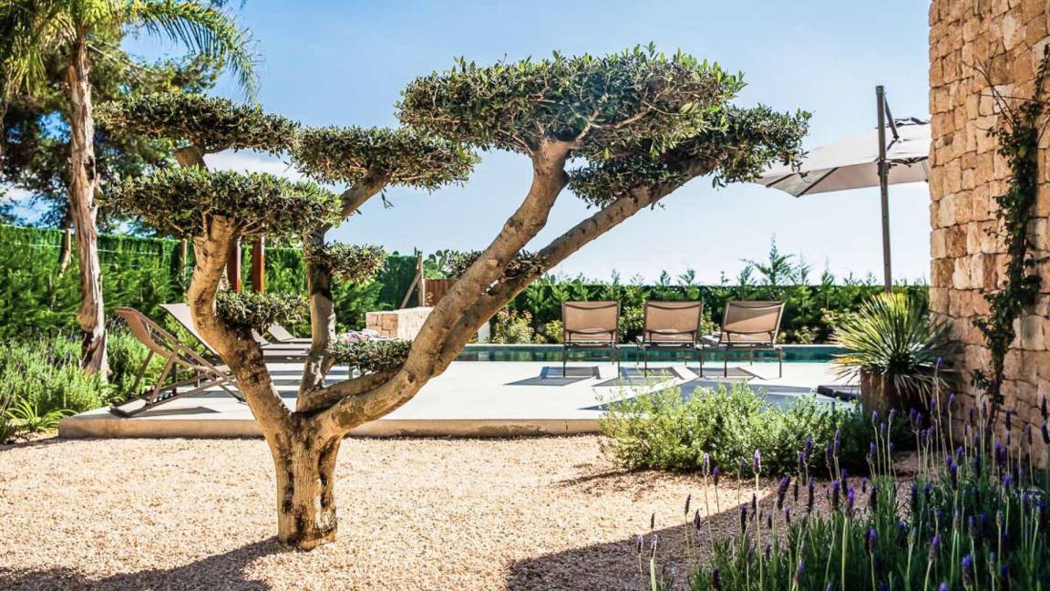 Photo of Outdoor in Santa Eulalia del Rio