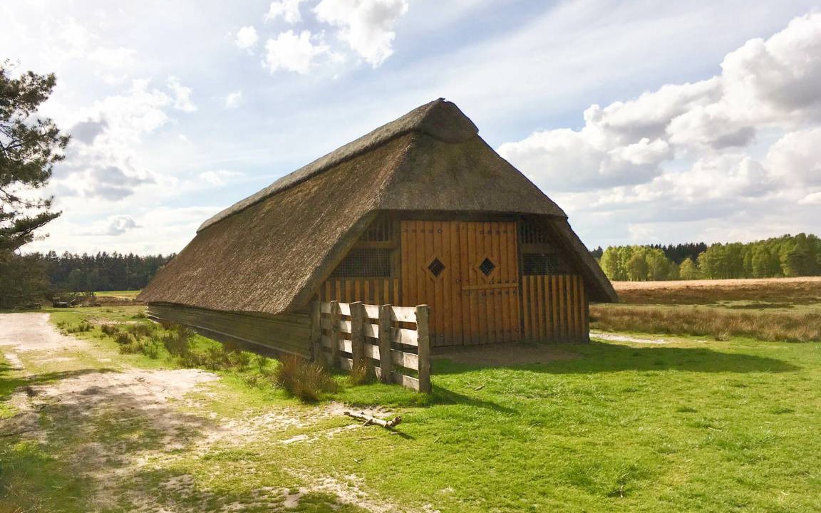 Photo of Others in Petersfeld