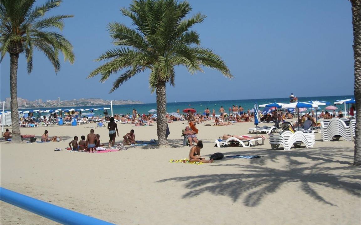 Photo of Others in Guardamar del Segura