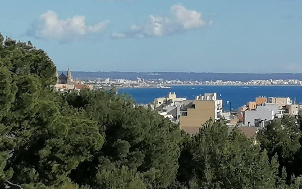 Photo of Others in Son Dureta