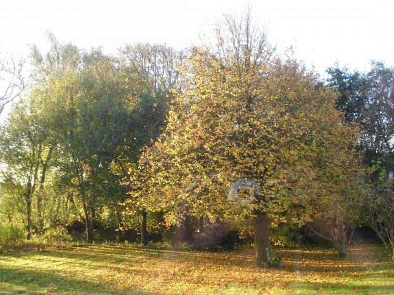 Photo of Others in Vollerwiek