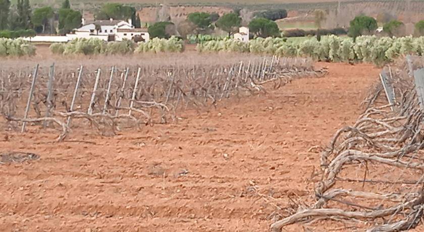 Photo of Others in Villanueva de los Infantes