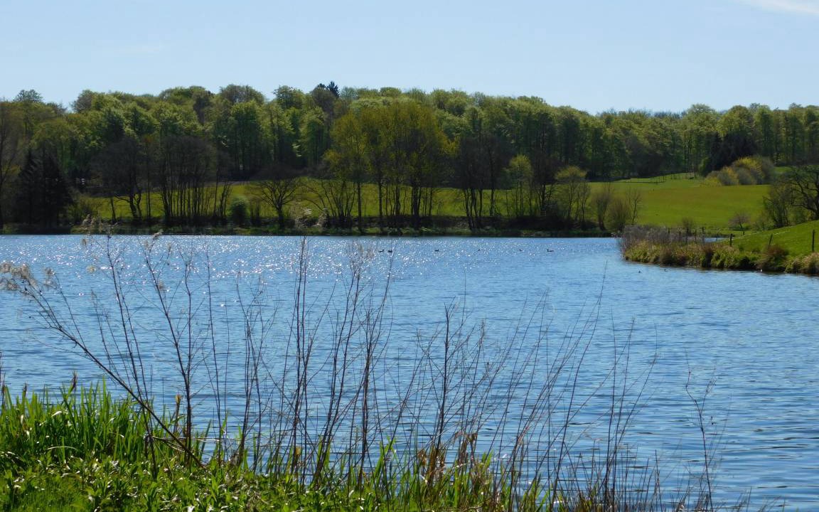Photo of Others in Monchneversdorf