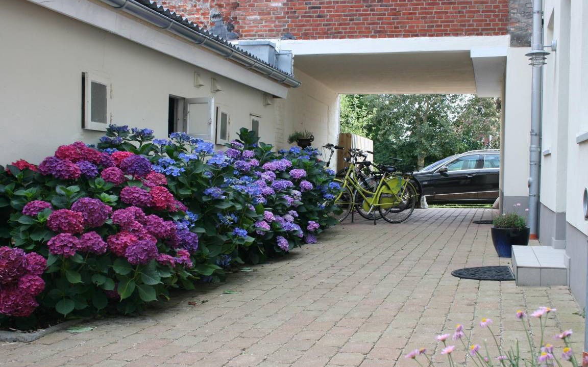 Photo of Others in Wyk auf Foehr