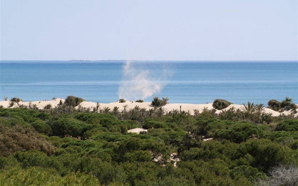 Photo of Others in Guardamar del Segura
