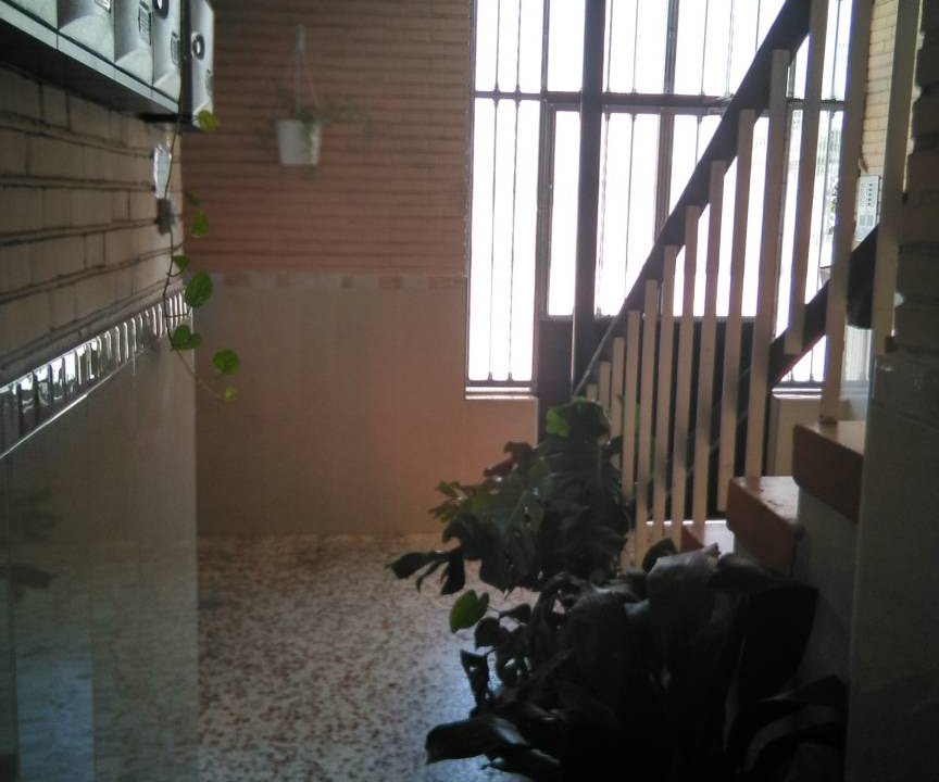 Photo of Others in Los Pajaros