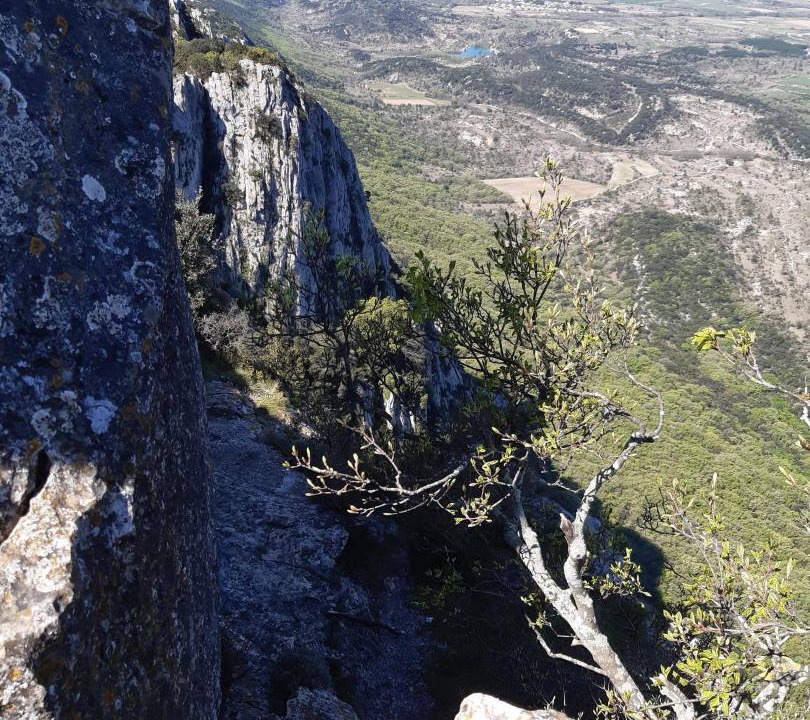 Photo of Others in Clermont-l'Herault