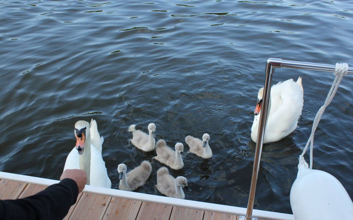 Photo of Others in Rathenow