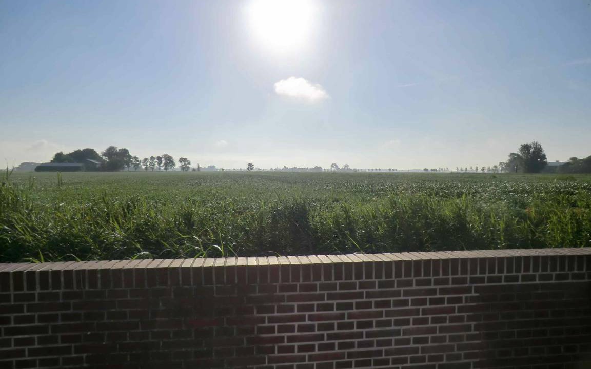 Photo of Others in Groven