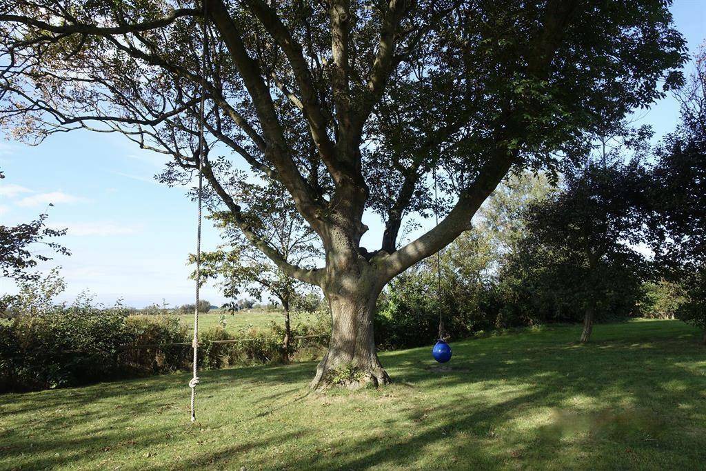 Photo of Others in Osterhever
