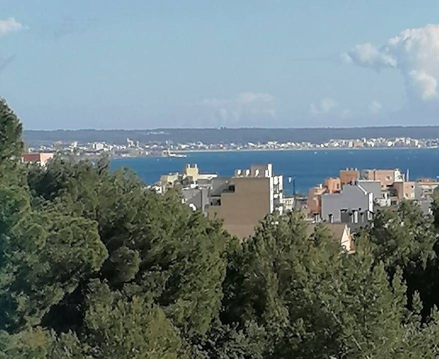 Photo of Others in Son Dureta