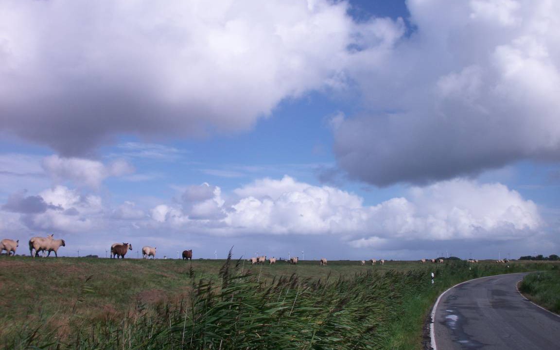 Photo of Others in Ockholm