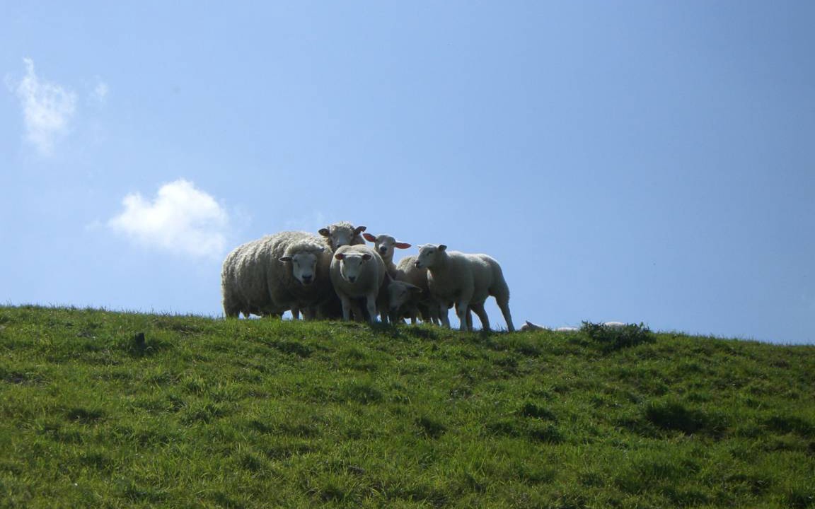 Photo of Others in Midlum