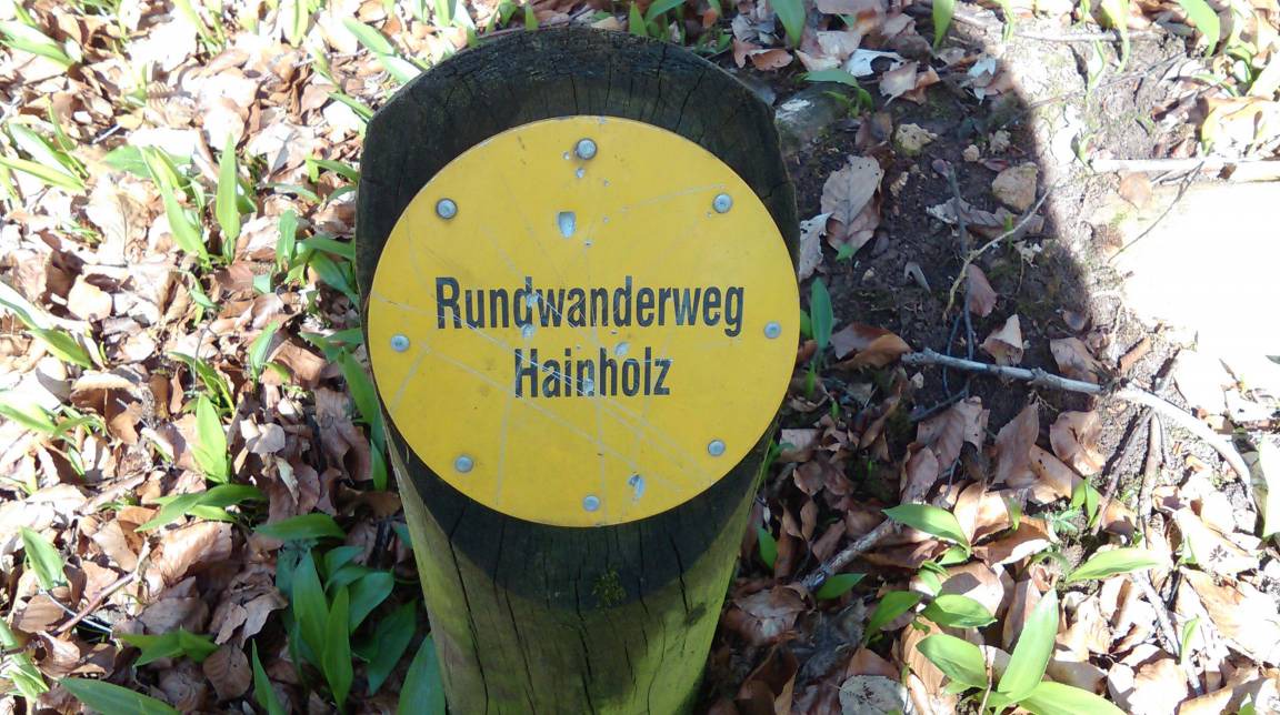 Photo of Others in Schwiegershausen