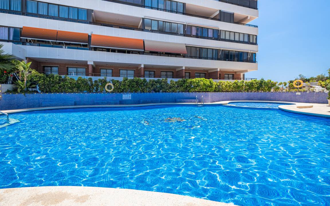 Photo of Others in Benidorm