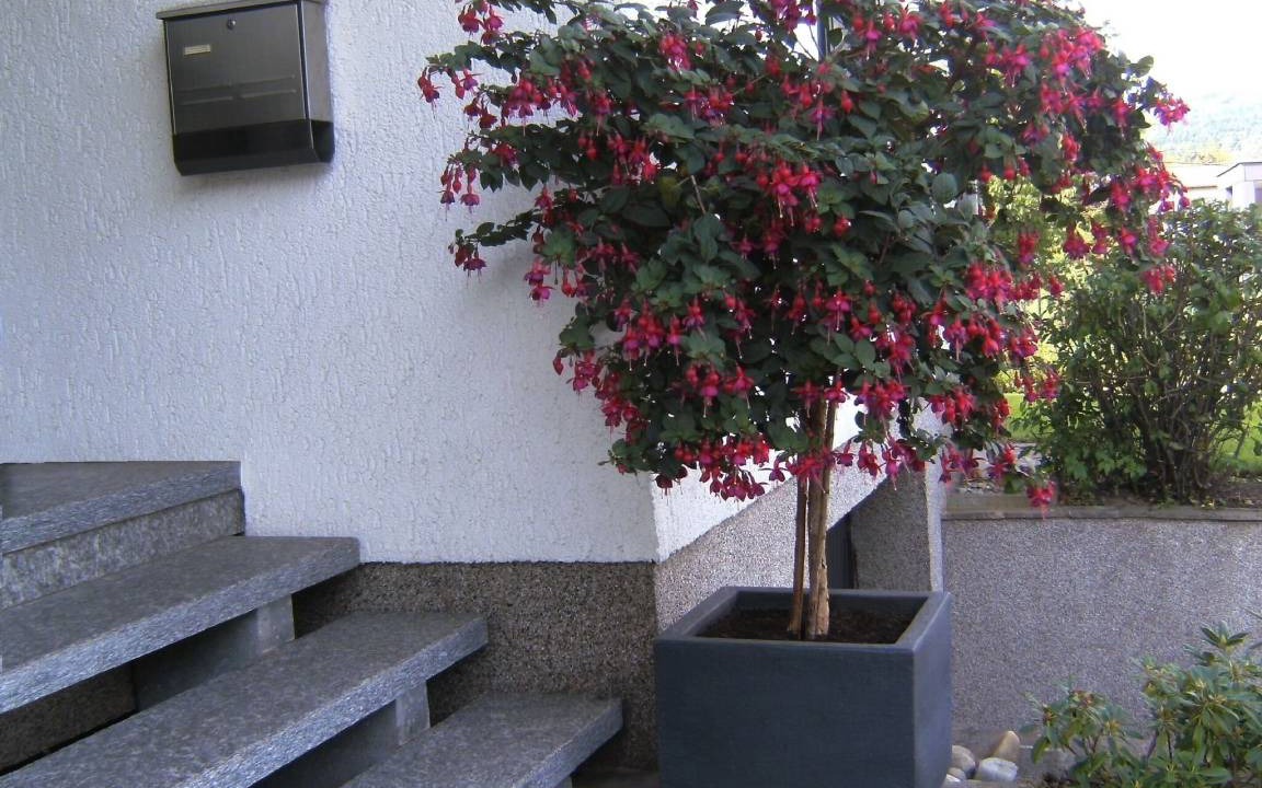 Photo of Others in Losheim am See