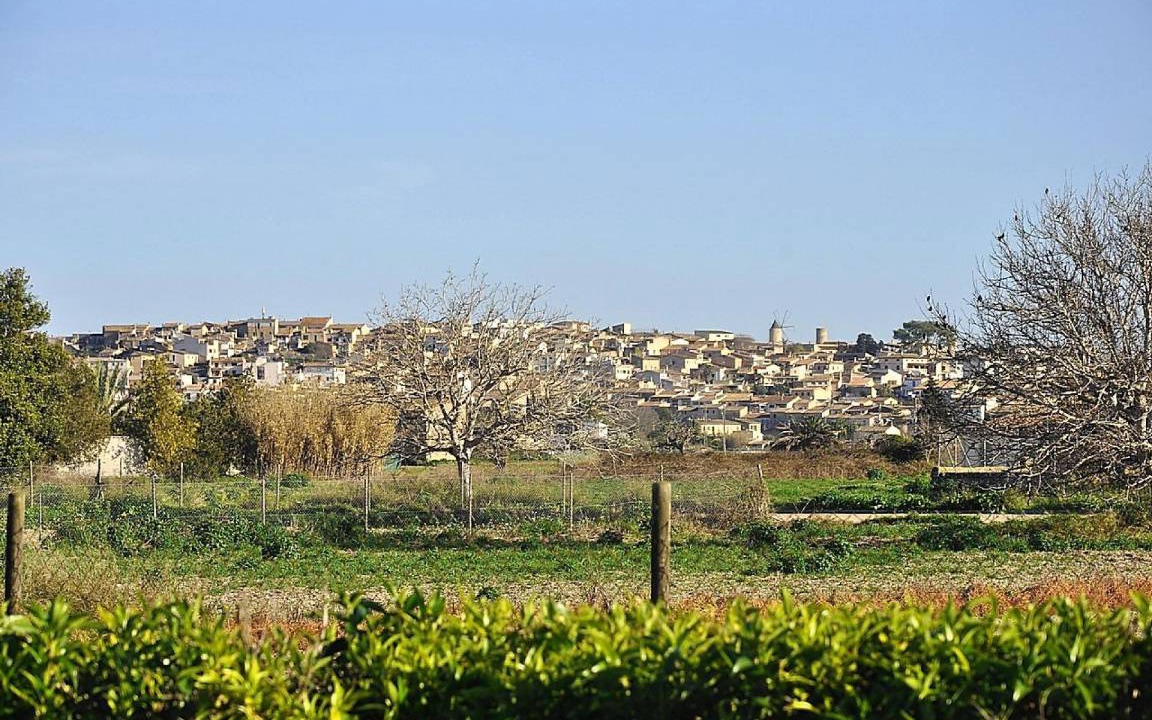 Photo of Others in Algaida