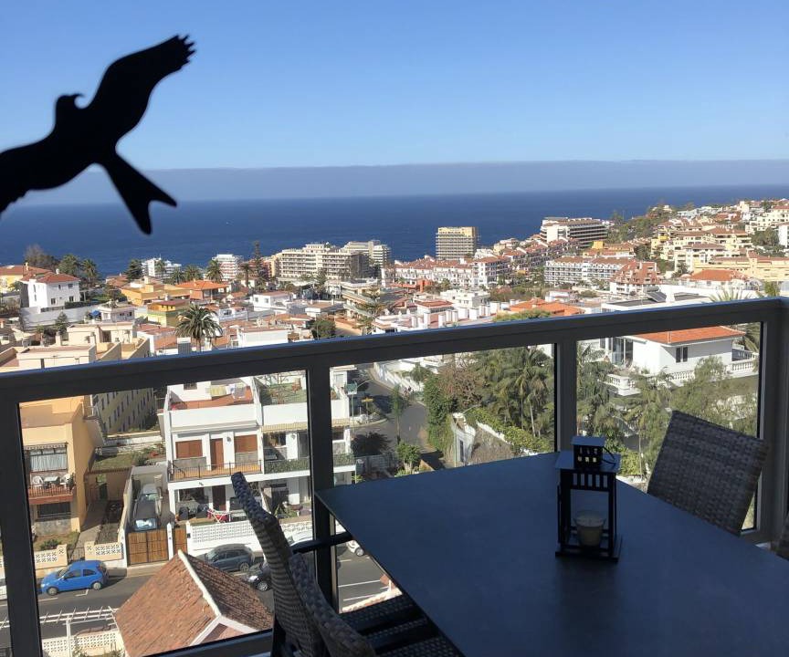 Photo of Others in Puerto de la Cruz