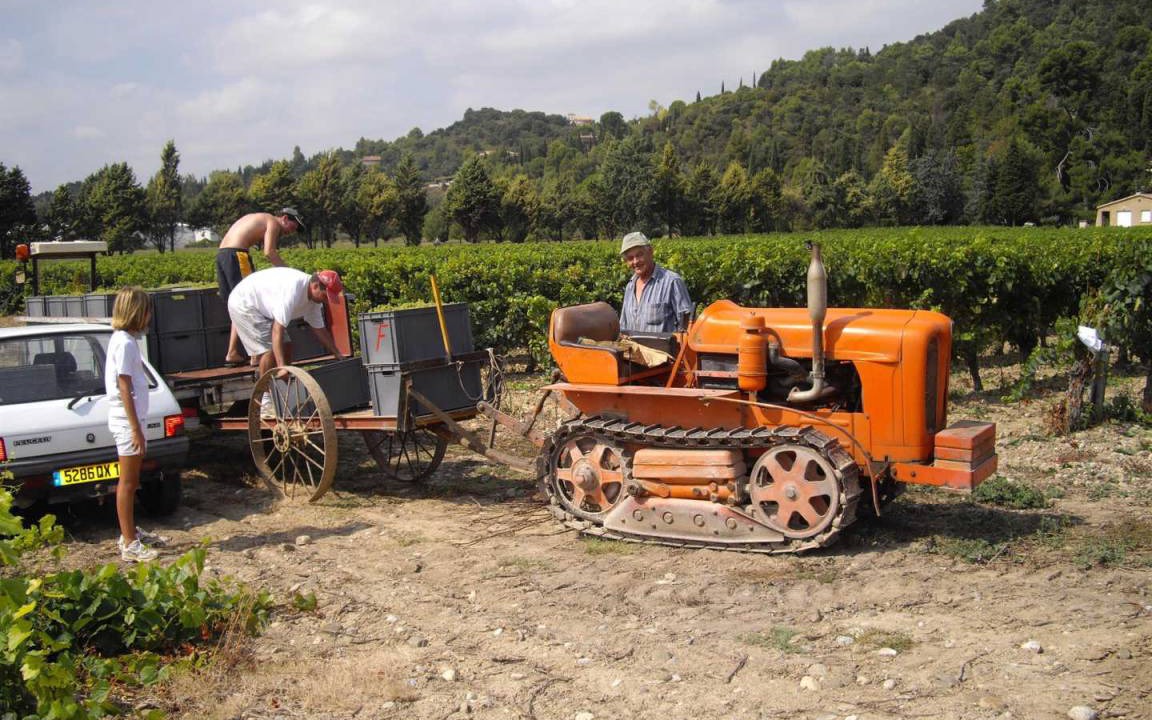Photo of Others in Limoux