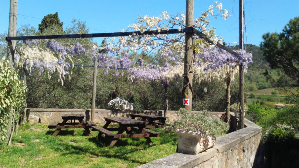 Photo of Others in Quintillan