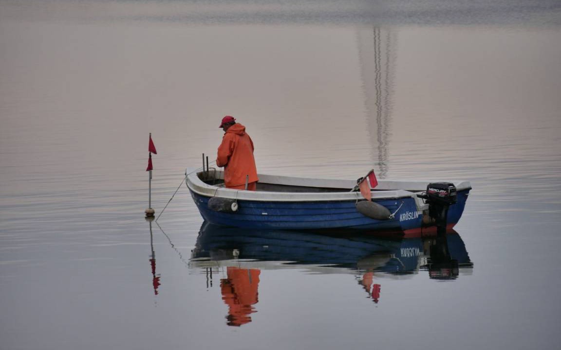 Photo of Human In Picture in Ostvorpommern