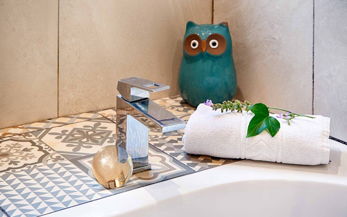 Photo of Bathroom in Sales de Llierca