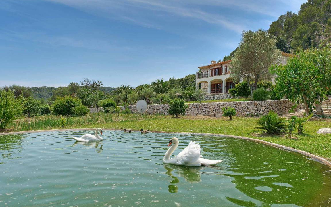 Photo of Others in Pollensa