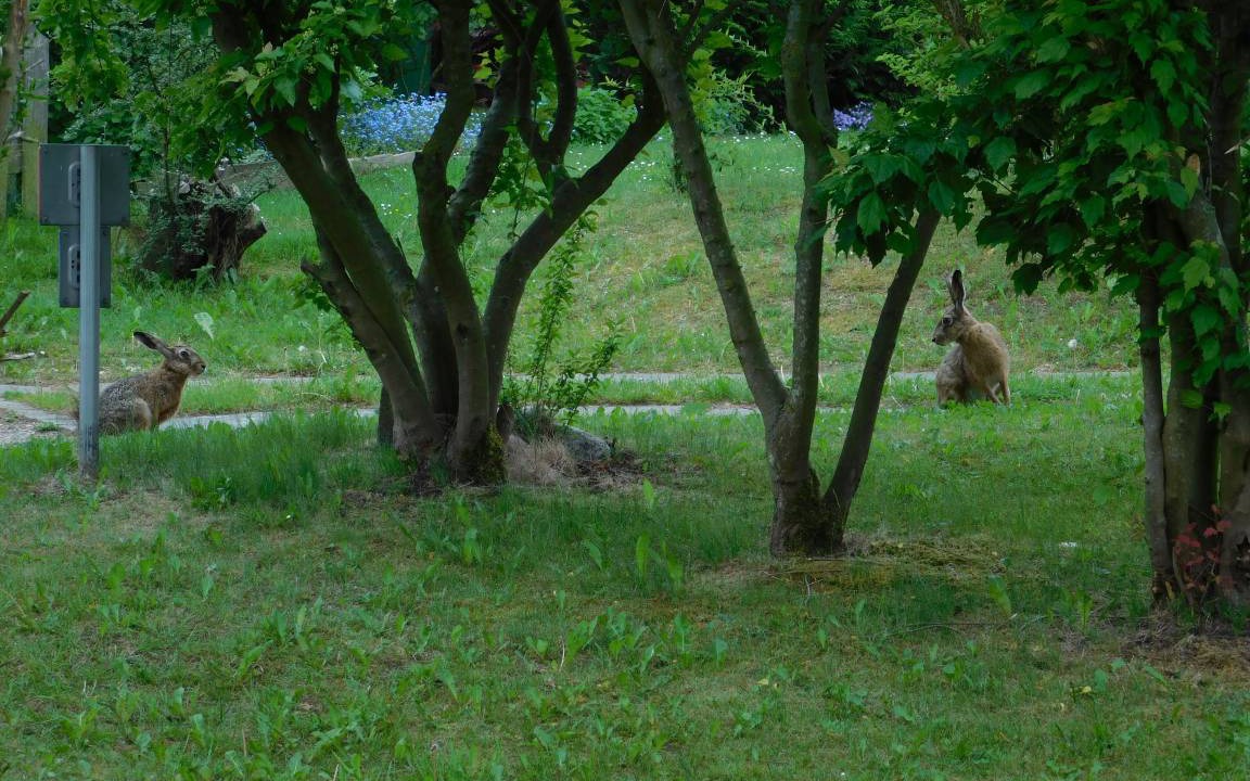 Photo of Others in Monchneversdorf