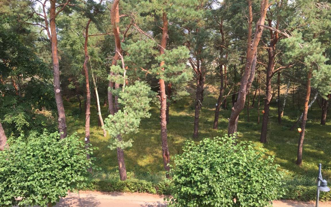 Photo of Others in Ahlbeck