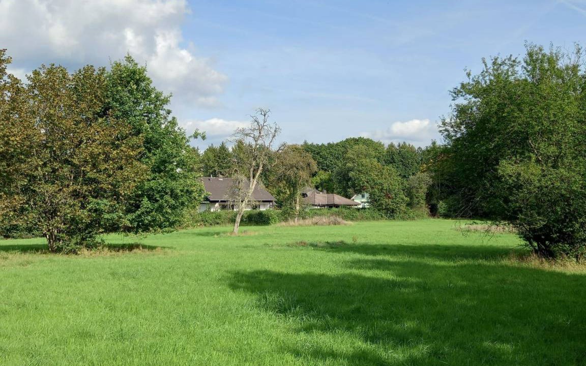 Photo of Others in Losheim am See