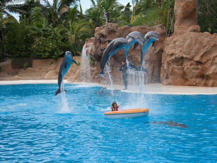 Photo of Others in Puerto de la Cruz