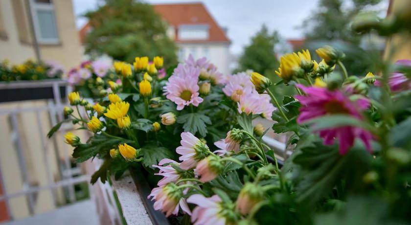 Photo of Others in Bruhlervorstadt