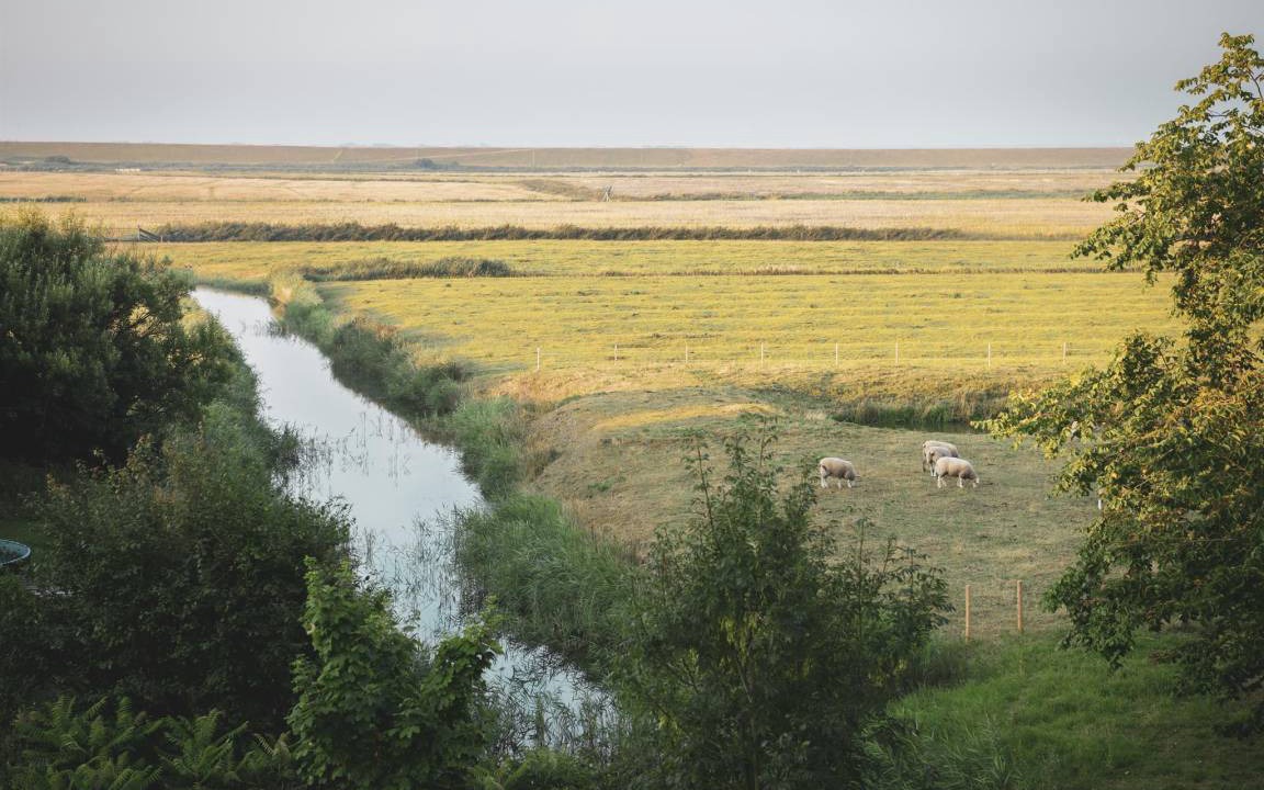 Photo of Others in Westerhever
