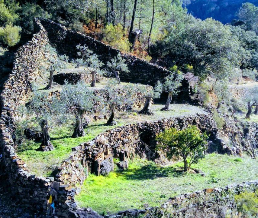 Photo of Others in Erias