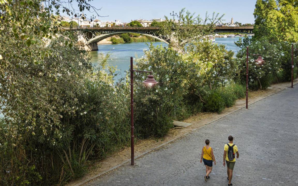 Photo of Others in Triana