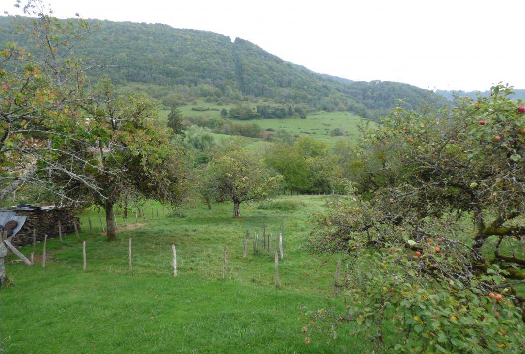 Photo of Others in Boyeux-Saint-Jerome