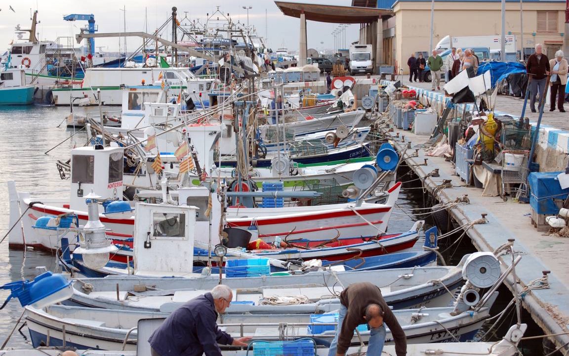 Photo of Others in Santa Margarida