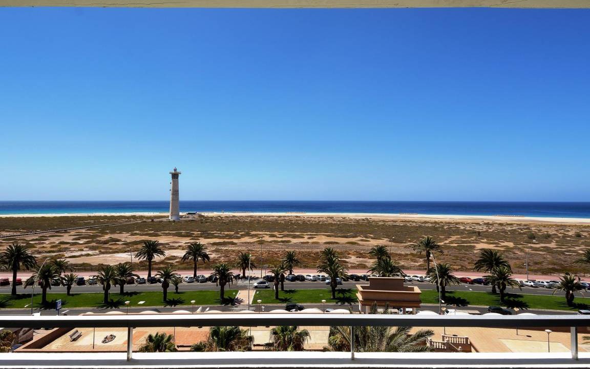 Photo of Others in Solana del Matorral