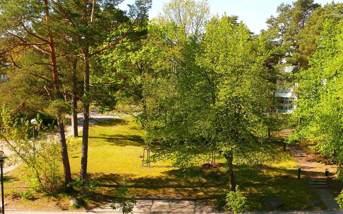 Photo of Others in Ahlbeck