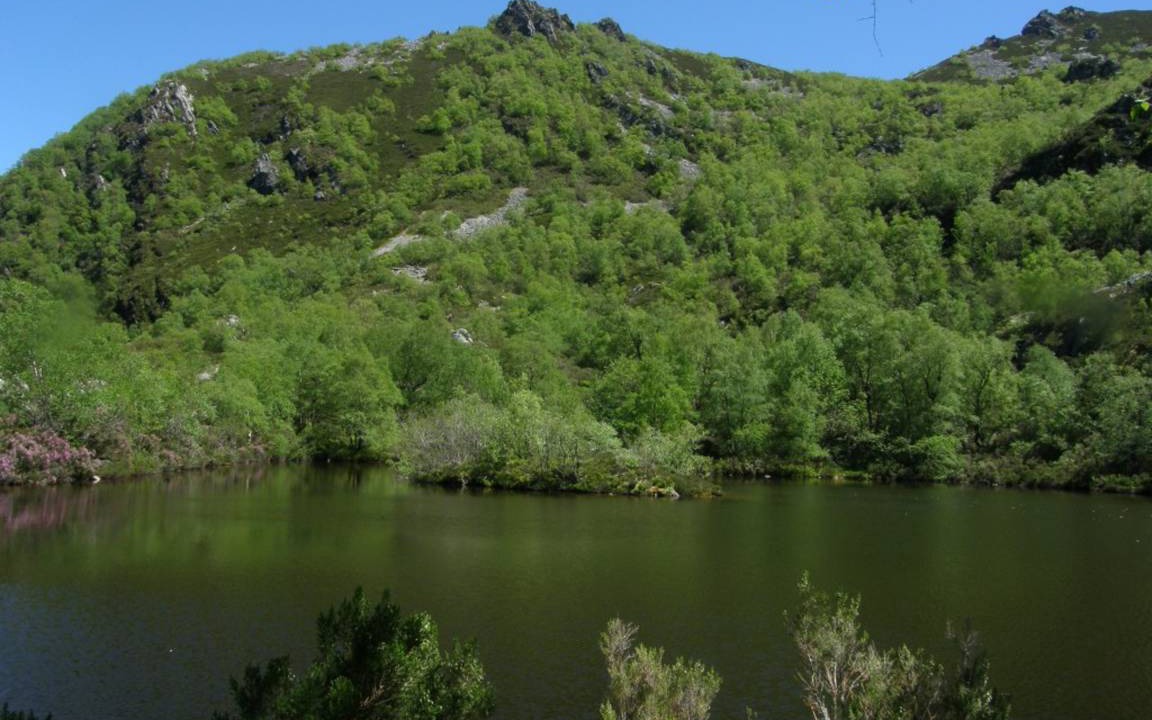 Photo of Others in Ibias Municipality