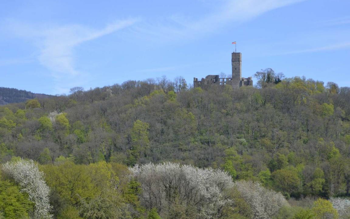 Photo of Others in Koenigstein im Taunus