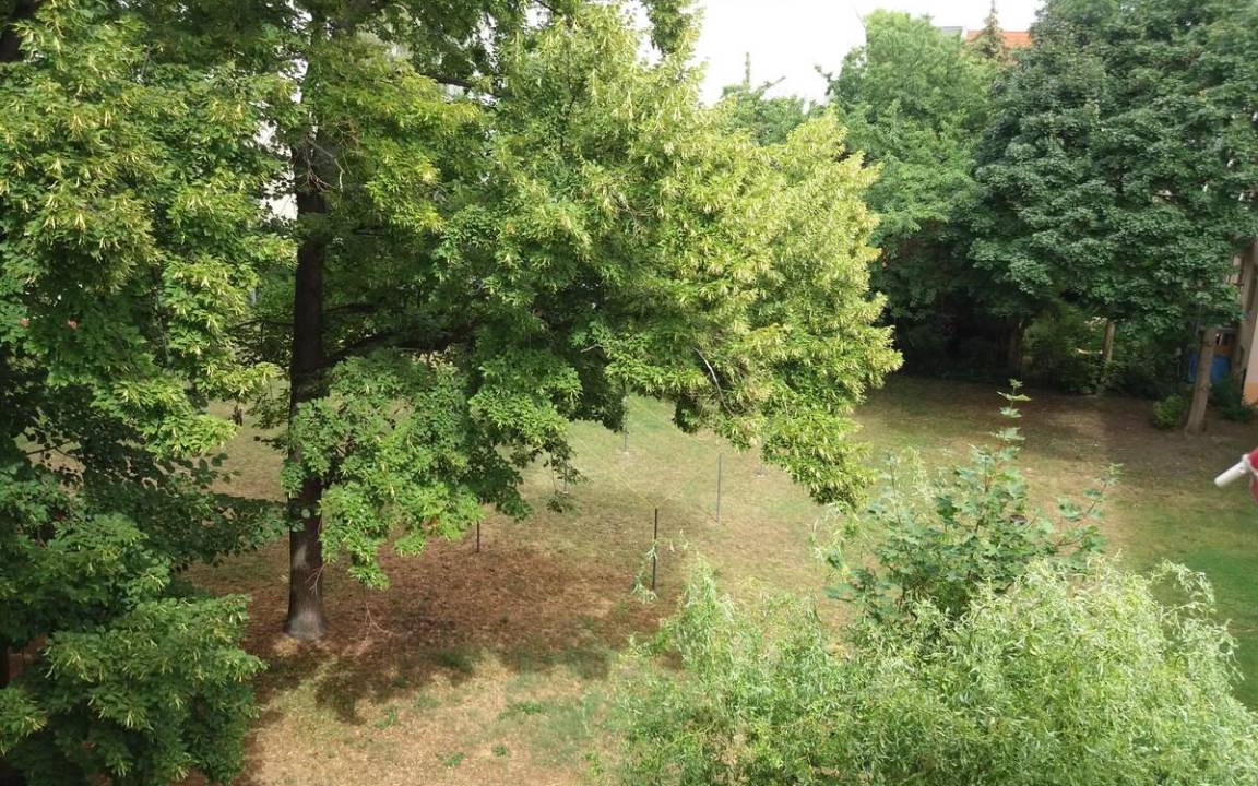 Photo of Others in Magdeburg